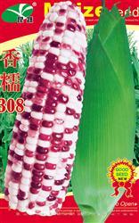 香糯308 —— 甜糯玉米类种子