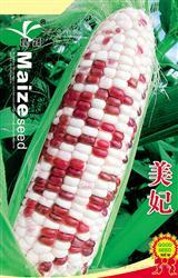 美妃 —— 甜糯玉米类种子