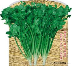 澳洲四季香菜 —— 香菜