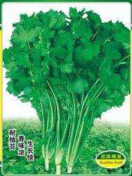 363香菜 —— 香菜