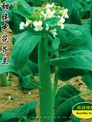 甜脆中花芥兰 —— 茎菜类