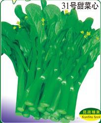 31号甜菜心 —— 茎菜类