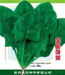 全能菠菜 —— 叶菜类