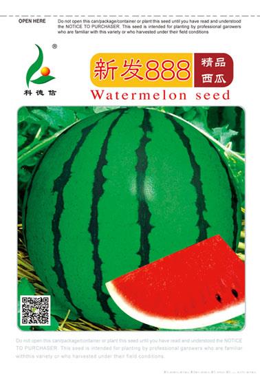 新发888