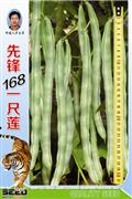 先锋169一尺莲——豆类系列