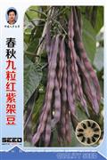春秋九粒红紫架豆——豆类系列