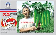 大圣牛椒——辣椒系列