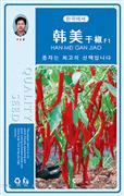 韩美干椒F1——辣椒系列