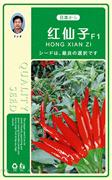 红仙子朝天椒——辣椒系列