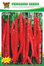 红霸天下