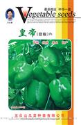 皇帝甜椒——甜椒系列