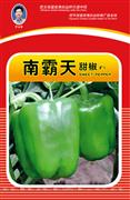 南霸天——甜椒系列