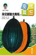 杂交甜面大南瓜——南瓜系列