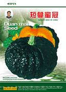 短蔓蜜冠——南瓜系列