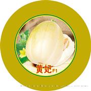 黄妃——甜瓜系列