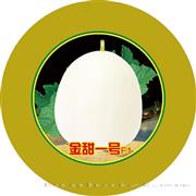 金甜一号——甜瓜系列