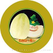 五台山一号F1——甜瓜系列