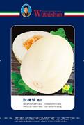 财神爷——甜瓜系列