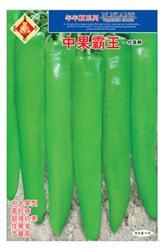 中果霸王——黄皮椒