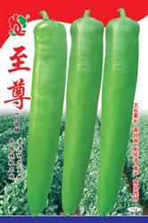 至尊——黄皮椒