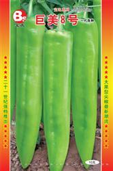 巨美8号——黄皮椒