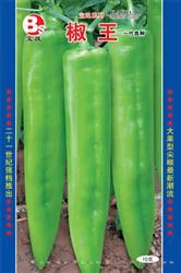 椒王——黄皮椒