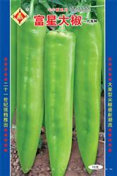 富星大椒——黄皮椒