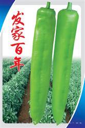 发家百年——黄皮椒
