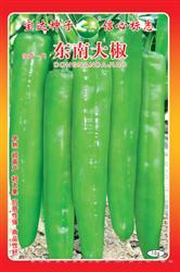 东南大椒——黄皮椒