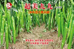 超美九九——尖椒