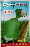791萝卜 - 萝卜类