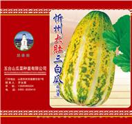 忻州大肚三白瓜（白沙蜜）——甜瓜系列