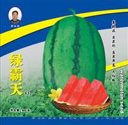 绿霸天——西瓜系列