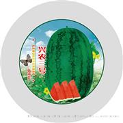 兴农三号——西瓜系列