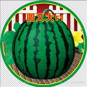 圆又大——西瓜系列
