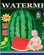 ok西瓜——西瓜系列
