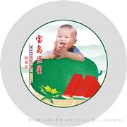 宝岛巨星——西瓜系列