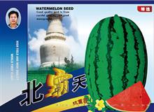 北霸天——西瓜系列