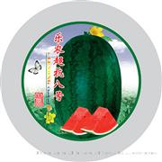 乐农超抗八号（圆）——西瓜系列