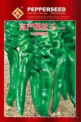 高产螺丝王——螺丝椒