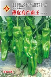薄皮高产霸王——泡椒