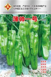 薄帅一号——泡椒