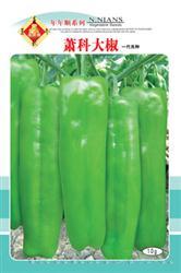 萧科大椒——泡椒