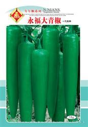 永福大青椒——青皮椒