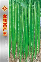 金线高产王——线椒