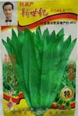 新世纪尖叶油麦菜 - 叶菜类