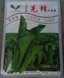 先锋小白菜 - 叶菜类