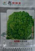 益满园大速生菜 - 叶菜类