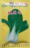 矮萁青 - 叶菜类