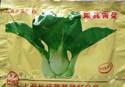 矮萁青菜 - 叶菜类